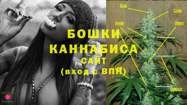 гидра Дмитров