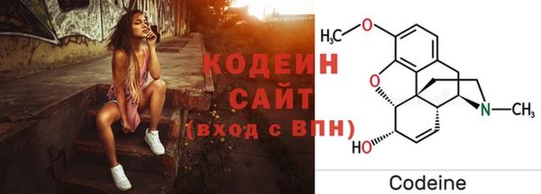 гидра Дмитров